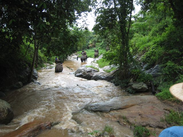 Mae Sa Elephant Camp3