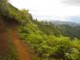 Chemin de Randonnée sur le Mont Aorai à Tahiti en Polynésie Française