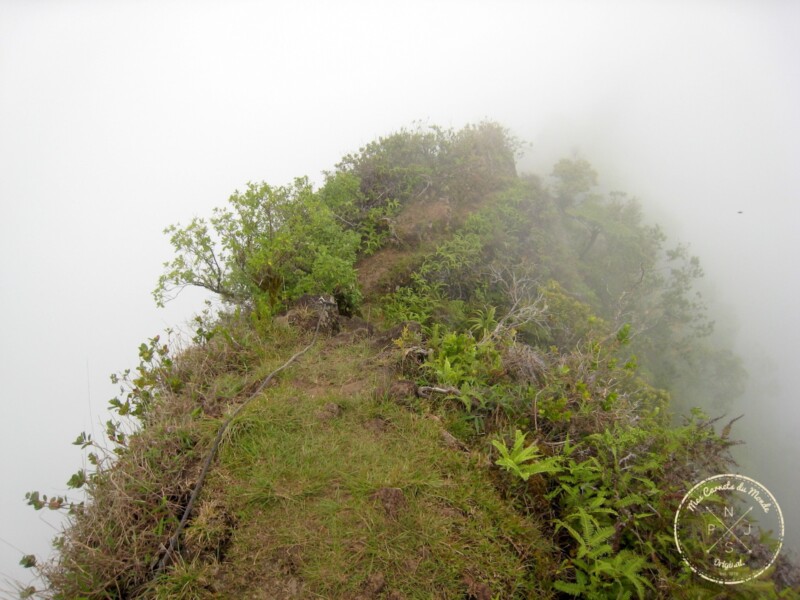 Crête dans la brume - Randonnée sur le Mont Aorai à Tahiti en Polynésie Française