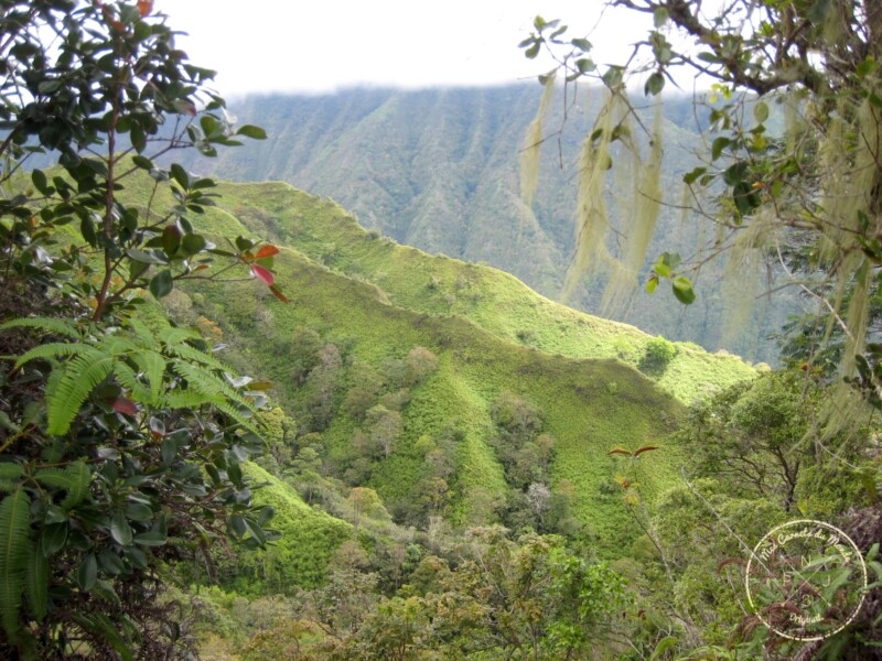 Crêtes volcans - Randonnée sur le Mont Aorai à Tahiti en Polynésie Française