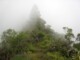 Marche dans la brume - Randonnée sur le Mont Aorai à Tahiti en Polynésie Française