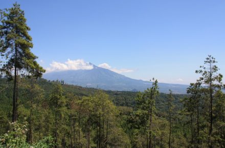 Photo Malang, Album Photos : Malang et ses environs, Mes Carnets du Monde