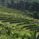 Séjour à Bali, Séjour à Bali&#8230; En dansant la Balinaise, Mes Carnets du Monde
