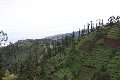 Bromo---Java---Indonesie 2189