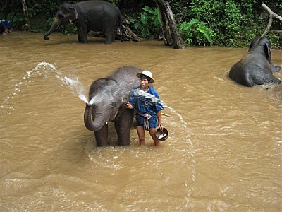 Chiang Mai, Chiang Mai et alentours : les surprises du nord, Mes Carnets du Monde