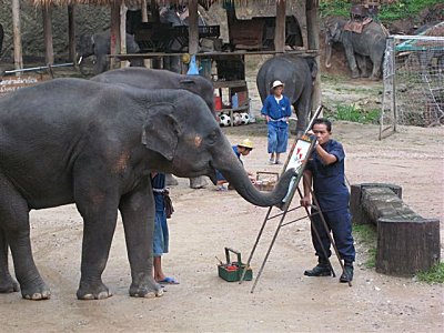 Chiang Mai, Chiang Mai et alentours : les surprises du nord, Mes Carnets du Monde