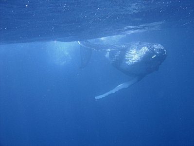 DSC00015