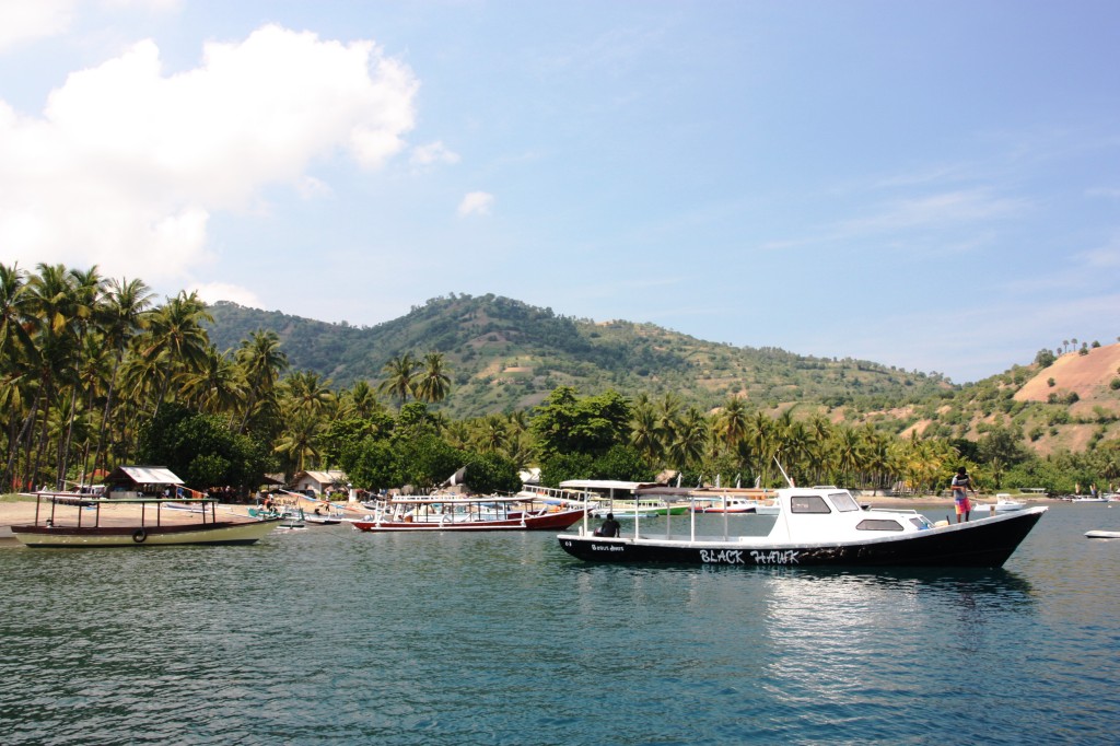 Séjour à Bali, Séjour à Bali&#8230; En dansant la Balinaise, Mes Carnets du Monde