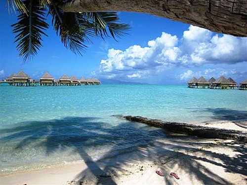 Plage et cocotiers à Bora Bora - Voyage et Plongée en Polynésie Française - Mes Carnets du Monde