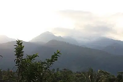 Malang 2554