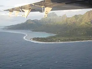 Moorea-Criobe 3669