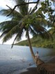 Congé solidaire, Suite (et fin&#8230;) du congé solidaire au Criobe à Moorea, Mes Carnets du Monde