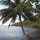Congé solidaire, Suite (et fin&#8230;) du congé solidaire au Criobe à Moorea, Mes Carnets du Monde