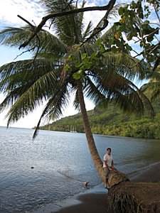 Congé solidaire, Suite (et fin&#8230;) du congé solidaire au Criobe à Moorea, Mes Carnets du Monde