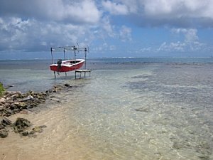 Moorea-Criobe 4059