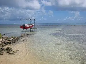Moorea-Criobe 4059