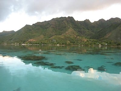 Moorea-Criobe 4353