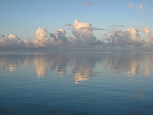 Moorea-Criobe 4356