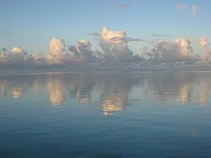 Moorea-Criobe 4356