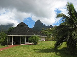 Moorea-Criobe 4444
