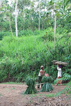 PWEC---Java---Indonesie 2572