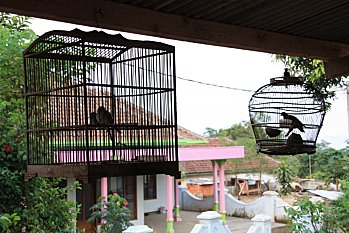 PWEC---Java---Indonesie 2581