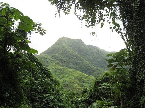 Montagnes vertes de Tahaa - Voyage et Plongée en Polynésie Française - Mes Carnets du Monde