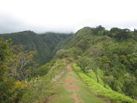Randonnée à Tahiti : Crête du Mont Aorai