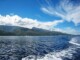 Plongée à Tahiti - Voyage et Plongée en Polynésie Française - Mes Carnets du Monde