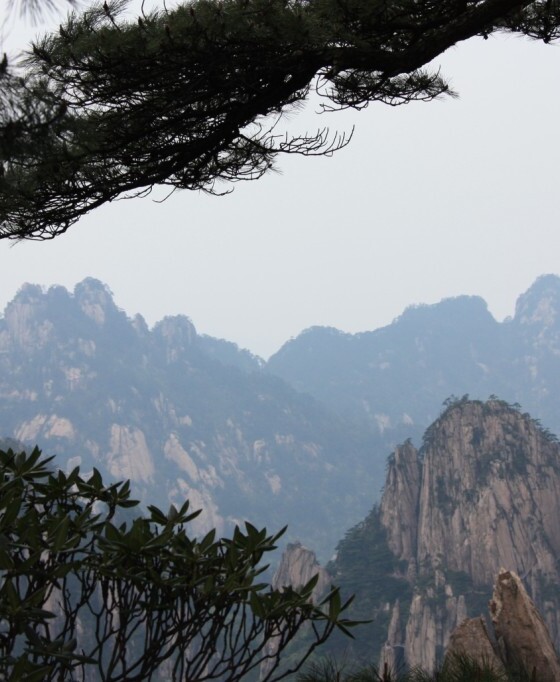 Arbres et Perspectives des Montagnes Jaunes dans la brume à Huangshan