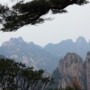 Arbres et Perspectives des Montagnes Jaunes dans la brume à Huangshan