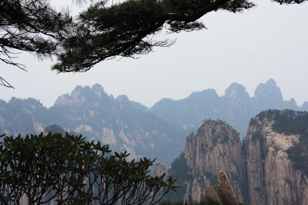 Arbres et Perspectives des Montagnes Jaunes dans la brume à Huangshan