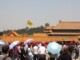 Forêts de toits de la Cité Interdite à Pékin, en Chine
