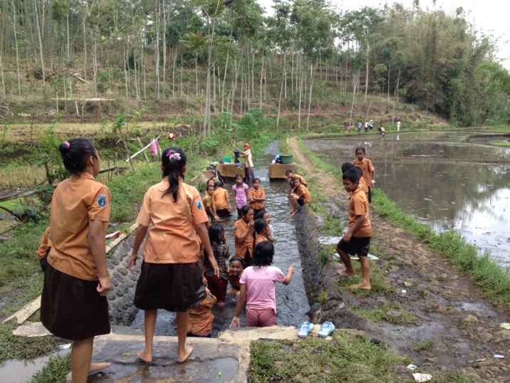 Bain dans les rizières à Malang en Indonésie