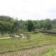 Malang Java Est, Deuxième tour de Malang en Indonésie, Mes Carnets du Monde