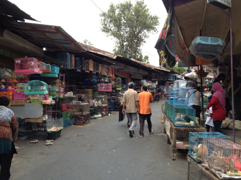 Marchés à Malang : balade