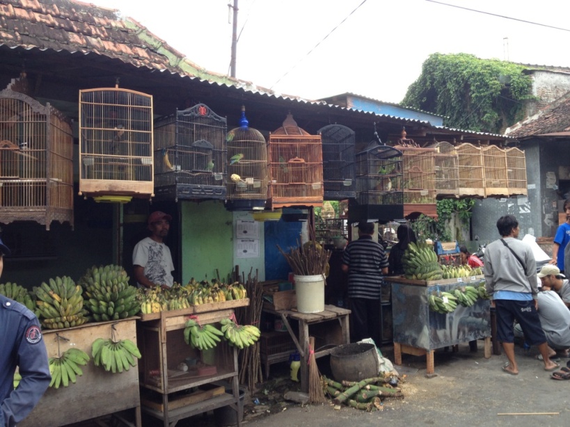 Marchés à Malang : vendeurs de fruits
