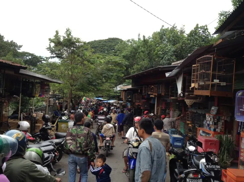 Marchés à Malang : Promenade