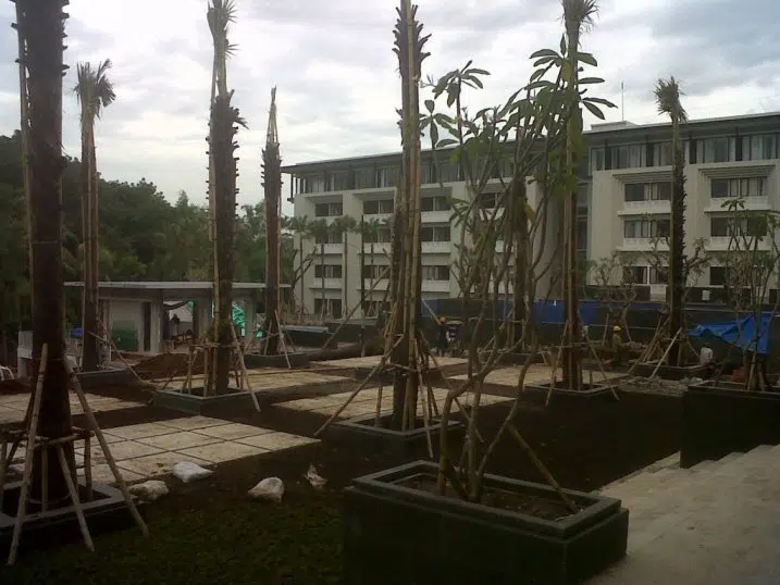 - ça y est, on a planté les arbres... On va pouvoir ouvrir Pak ! - Et les chambres, vous avez vu l'état ? - Ah oui, c'est pas con...
