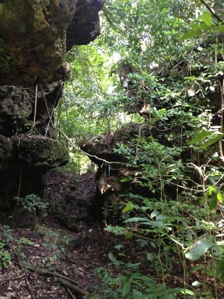 Forêt de Sempu Island (Palau Sempu)