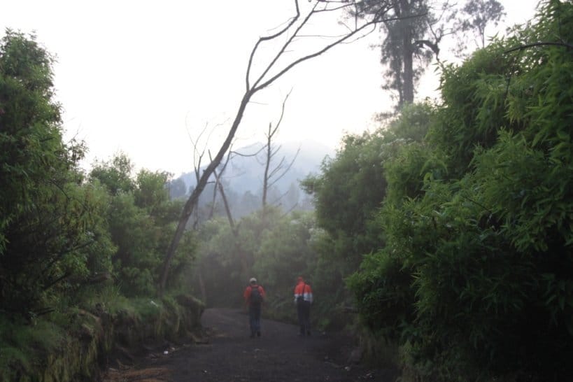 route du Kawah Ijen