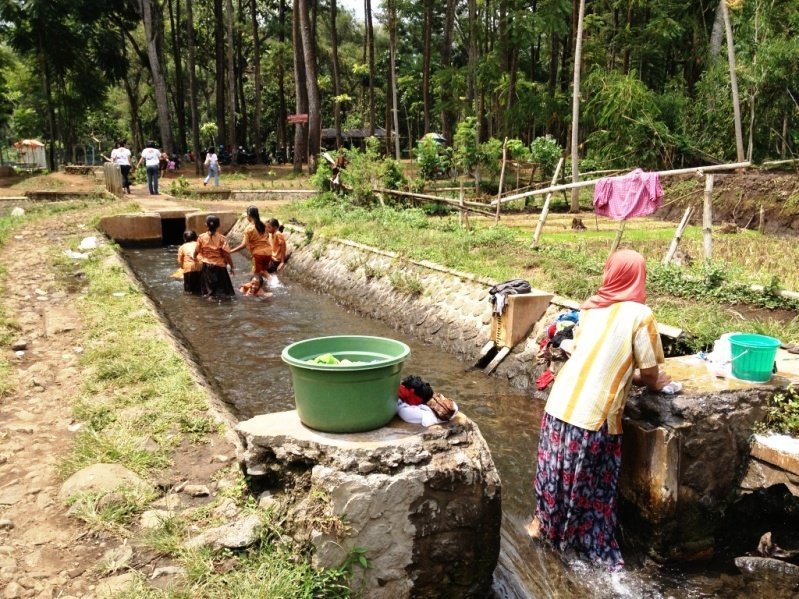 Enfants dans les rizières de Java