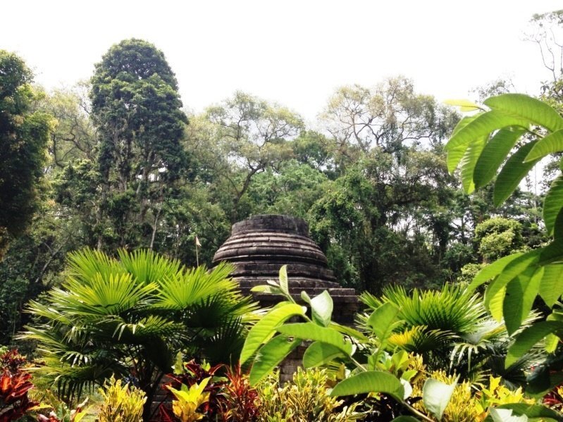 Stupa dans les arbres à l'est de Java