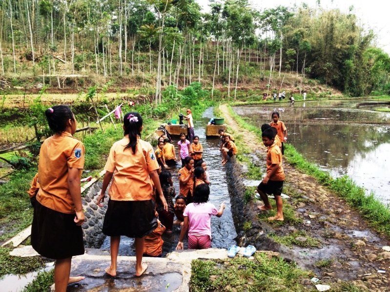 Enfants dans les rizières de Java