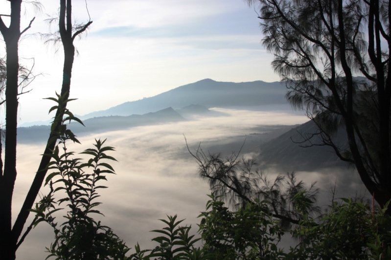 Caldeira du Mont Bromo dans la brume