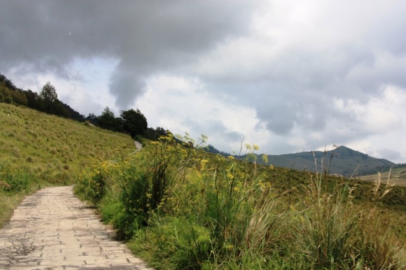 Route Pavée au Mont Bromo
