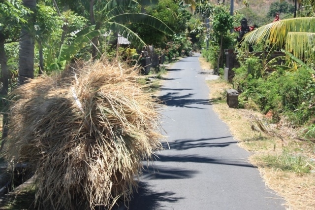 Conduite à Bali sur les petits chemins