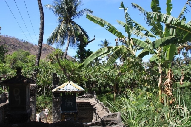 Croix Gammée à Bali