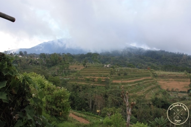Rizières dans la brume à Bali