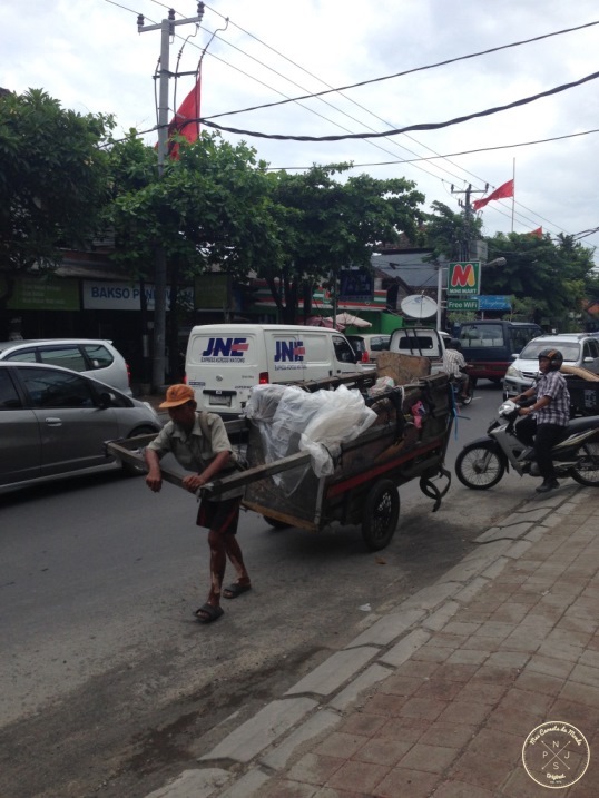 transport de Detritus à Bali